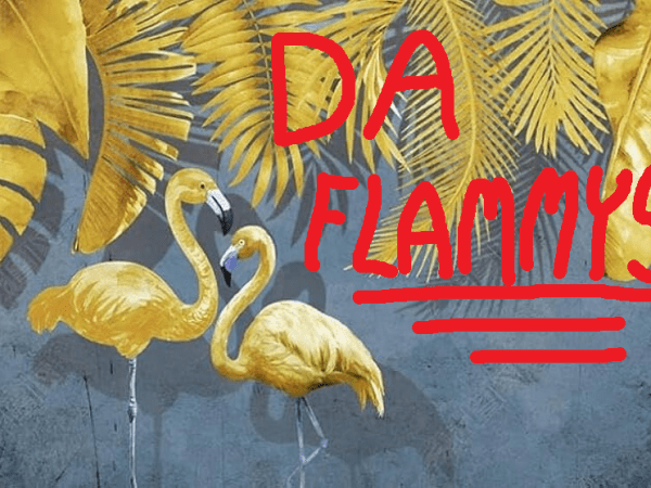DYODM: Da Flammys
